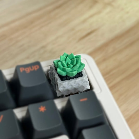 Keycap, Succulent, Cherry MX Keycap