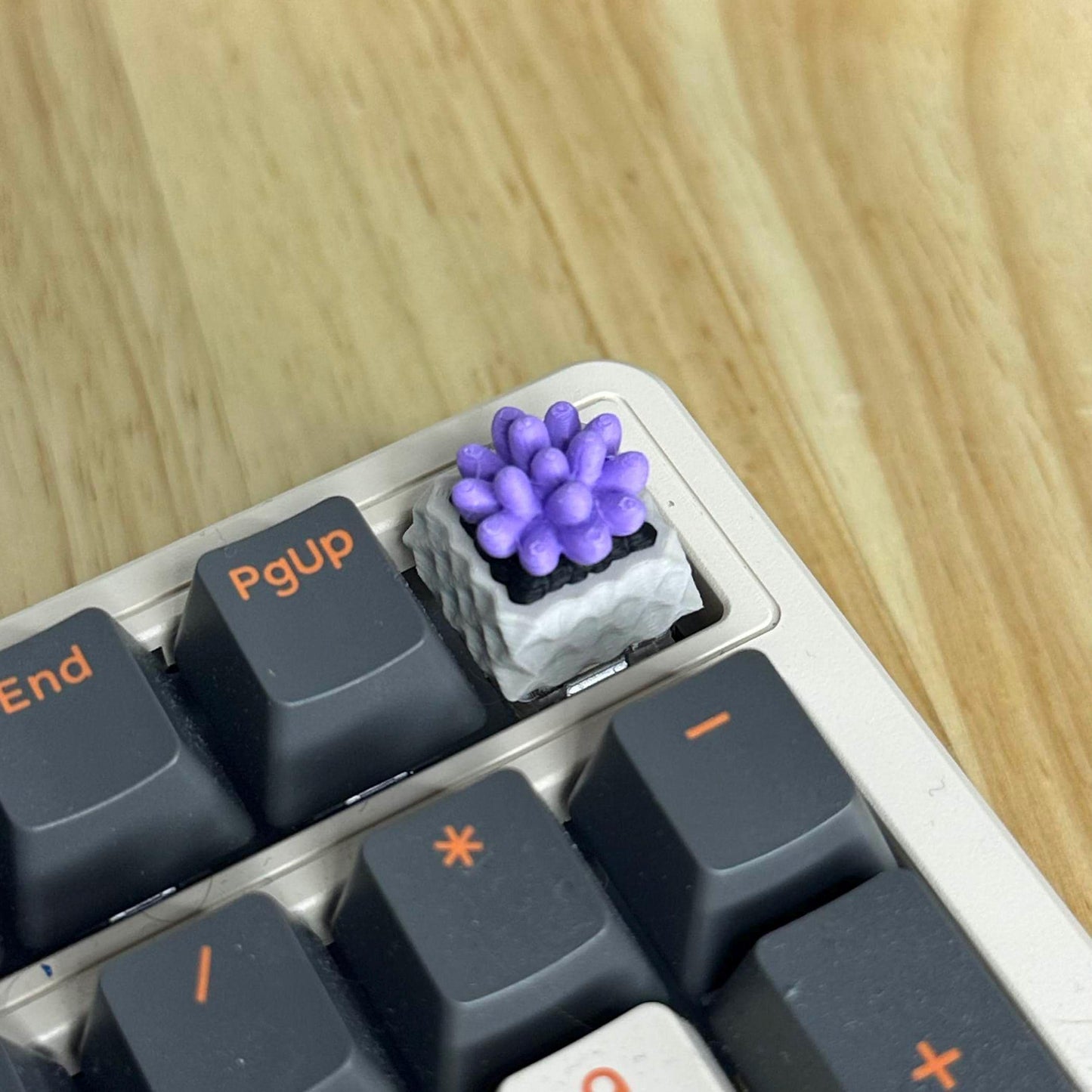 Keycap, Succulent, Cherry MX Keycap