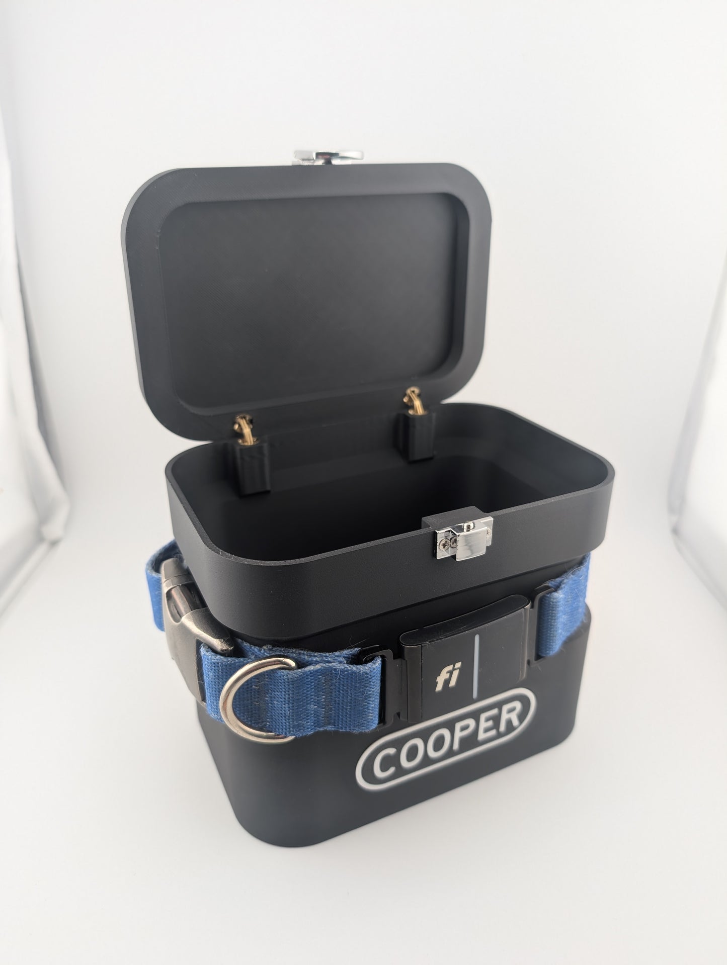 Personalized Dog Urn for Ashes | Memorial Keepsake Box with Collar Groove