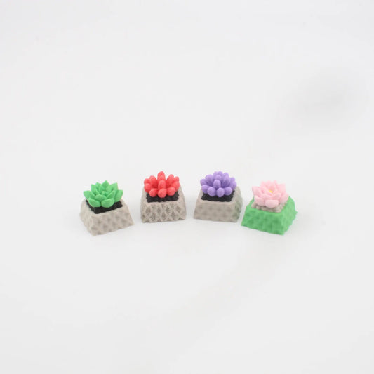Keycap, Succulent, Cherry MX Keycap