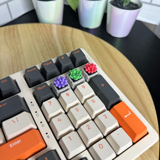 Keycap, Succulent, Cherry MX Keycap